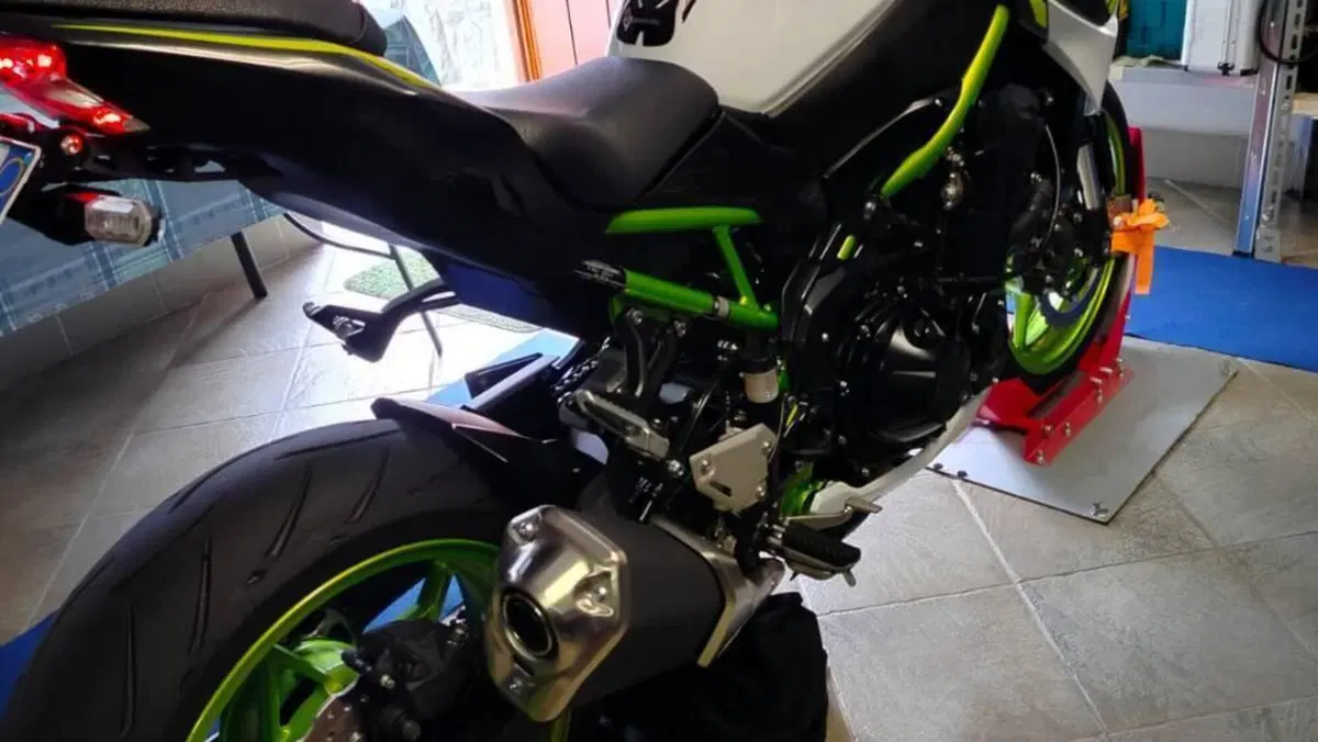 Kawasaki Z 900 (2021 - 24)  (2)