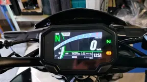 Kawasaki Z 900 (2021 - 24)  (3)