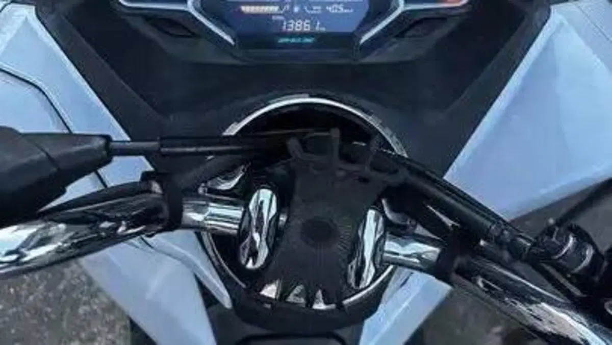 Honda PCX 125 (2018 - 20)  (4)