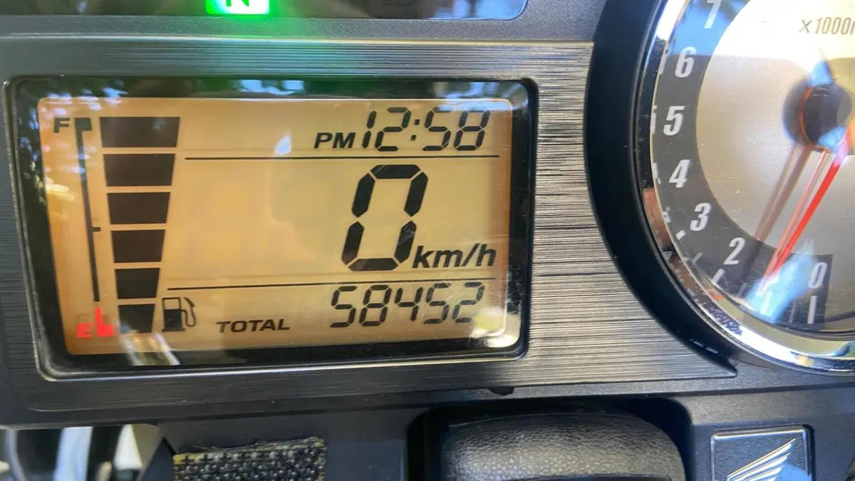 Honda Hornet 600 (2005 - 06)  (6)