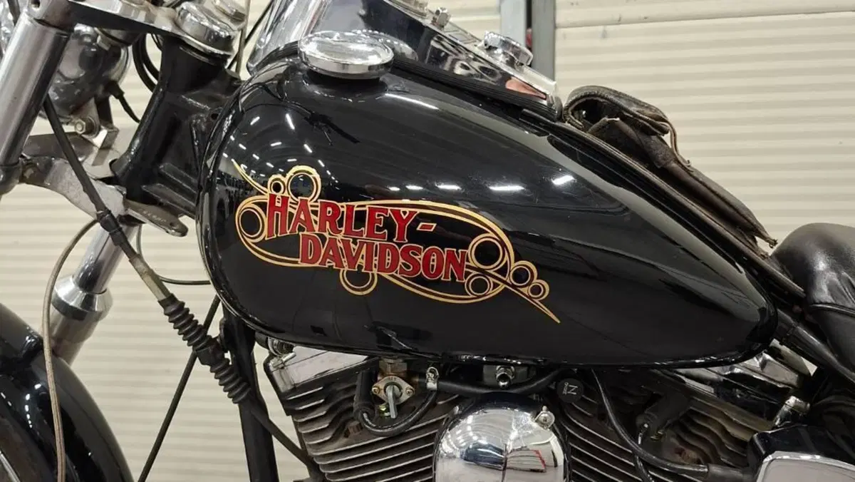 Harley-Davidson 1340 Custom (1989 - 98) 
