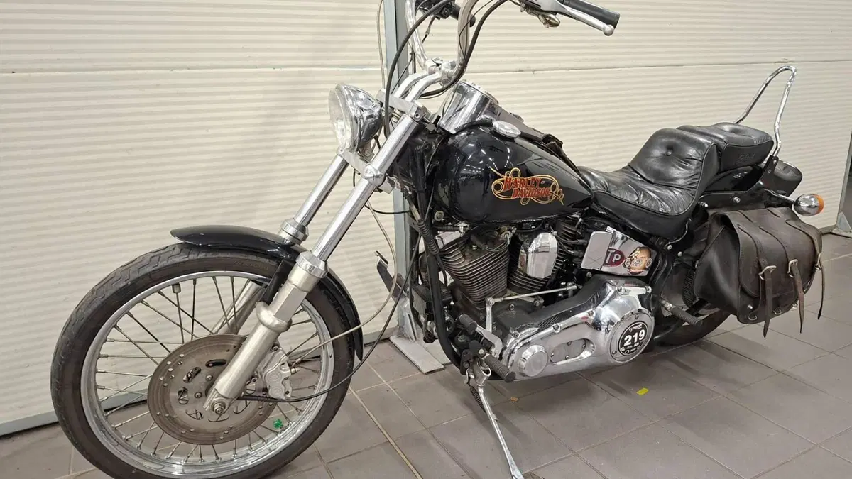 Harley-Davidson 1340 Custom (1989 - 98)  (3)