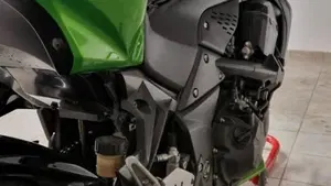 Kawasaki Z 750 (2007 - 14)  (10)