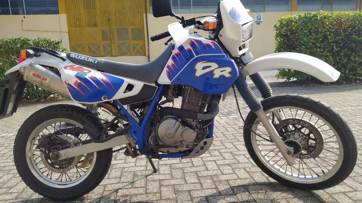 Suzuki   (2)