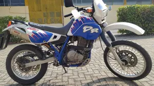 Suzuki   (2)