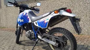 Suzuki   (3)