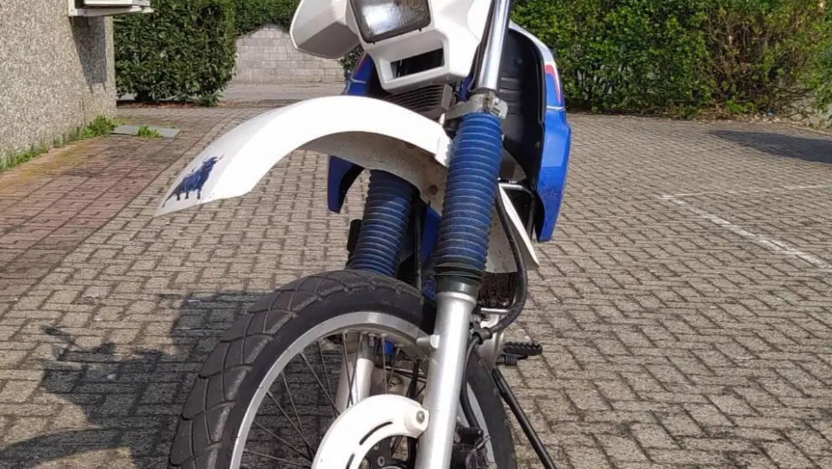 Suzuki   (4)