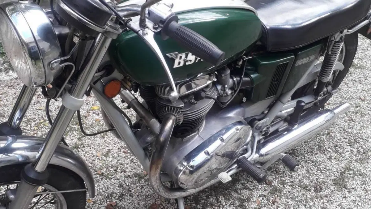 Bsa   (3)