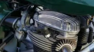 Bsa   (4)