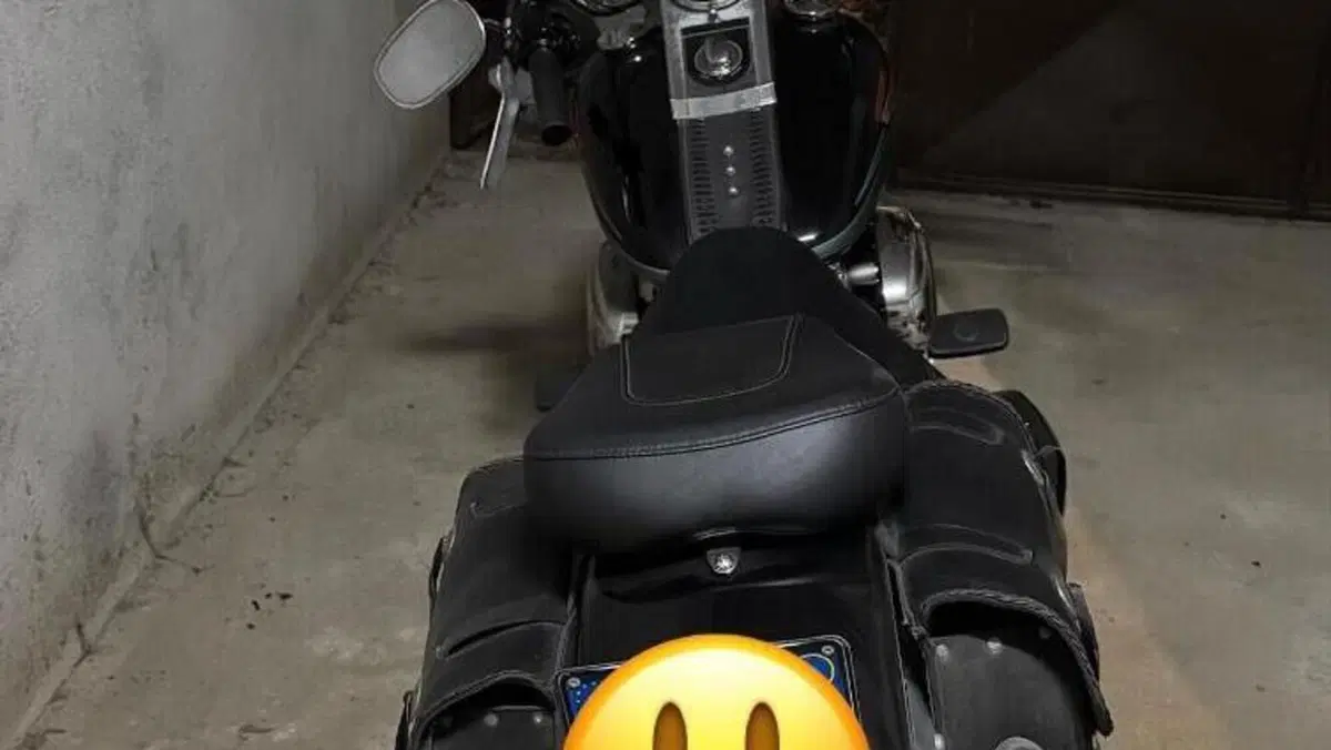 Harley-Davidson 1584 Fat Boy (2008 - 10) - FLSTF  (2)