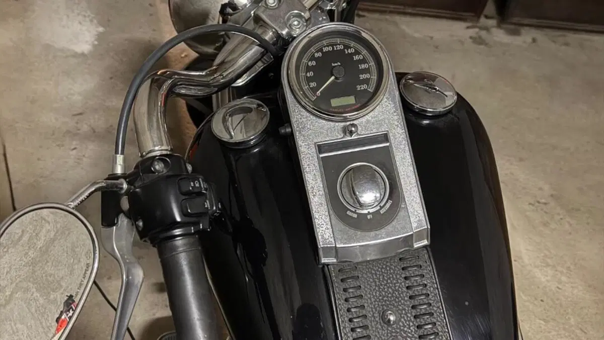 Harley-Davidson 1584 Fat Boy (2008 - 10) - FLSTF  (5)