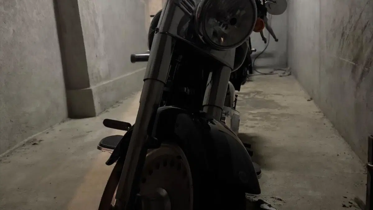 Harley-Davidson 1584 Fat Boy (2008 - 10) - FLSTF  (8)