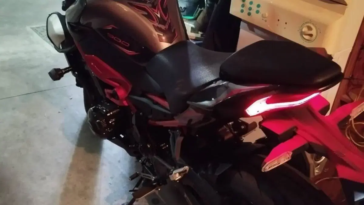 Kawasaki Z 900 (2025 - 27)  (4)