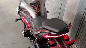 Kawasaki Z 900 (2025 - 27)  (6)