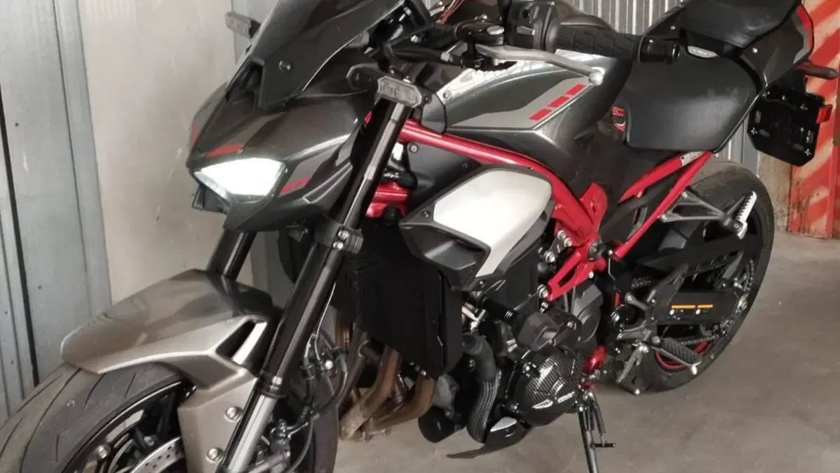 Kawasaki Z 900 (2025 - 27)  (8)