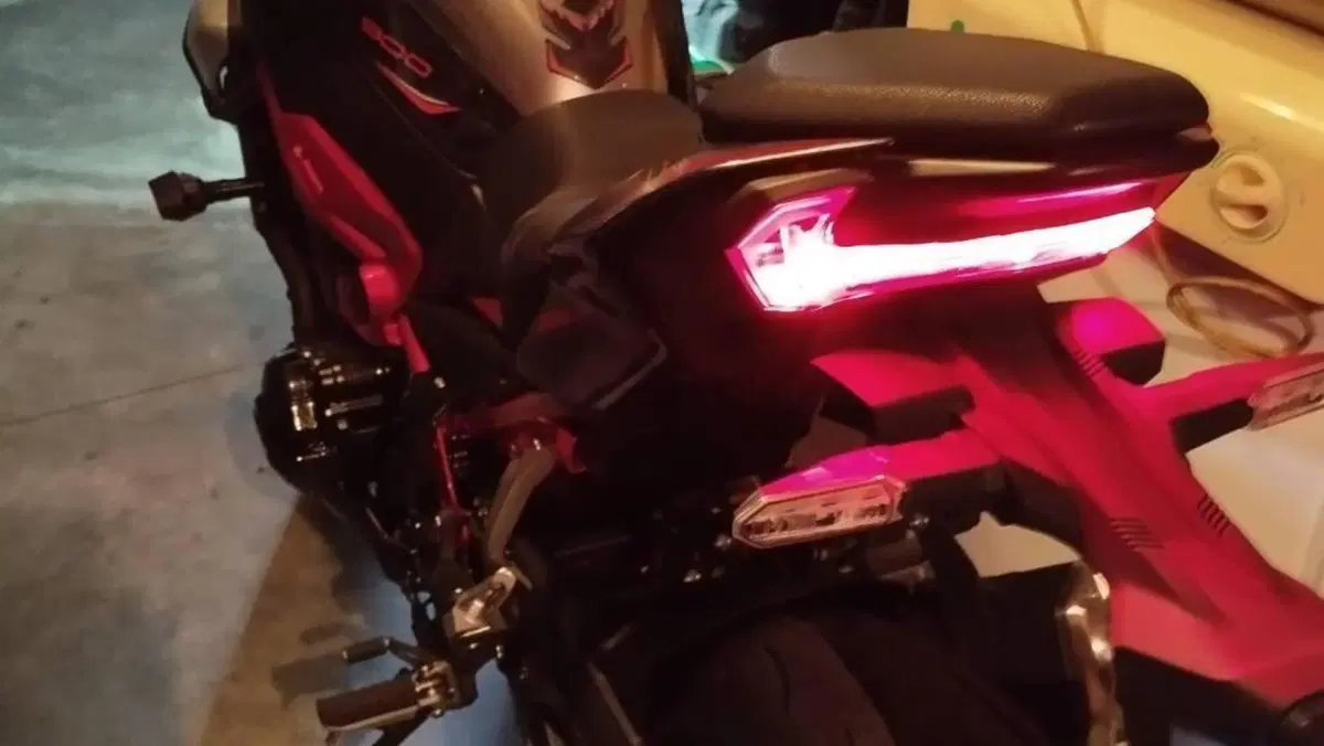 Kawasaki Z 900 (2025 - 27)  (9)