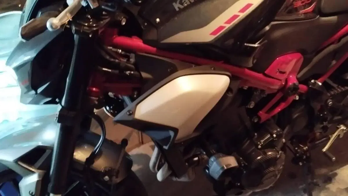 Kawasaki Z 900 (2025 - 27)  (10)