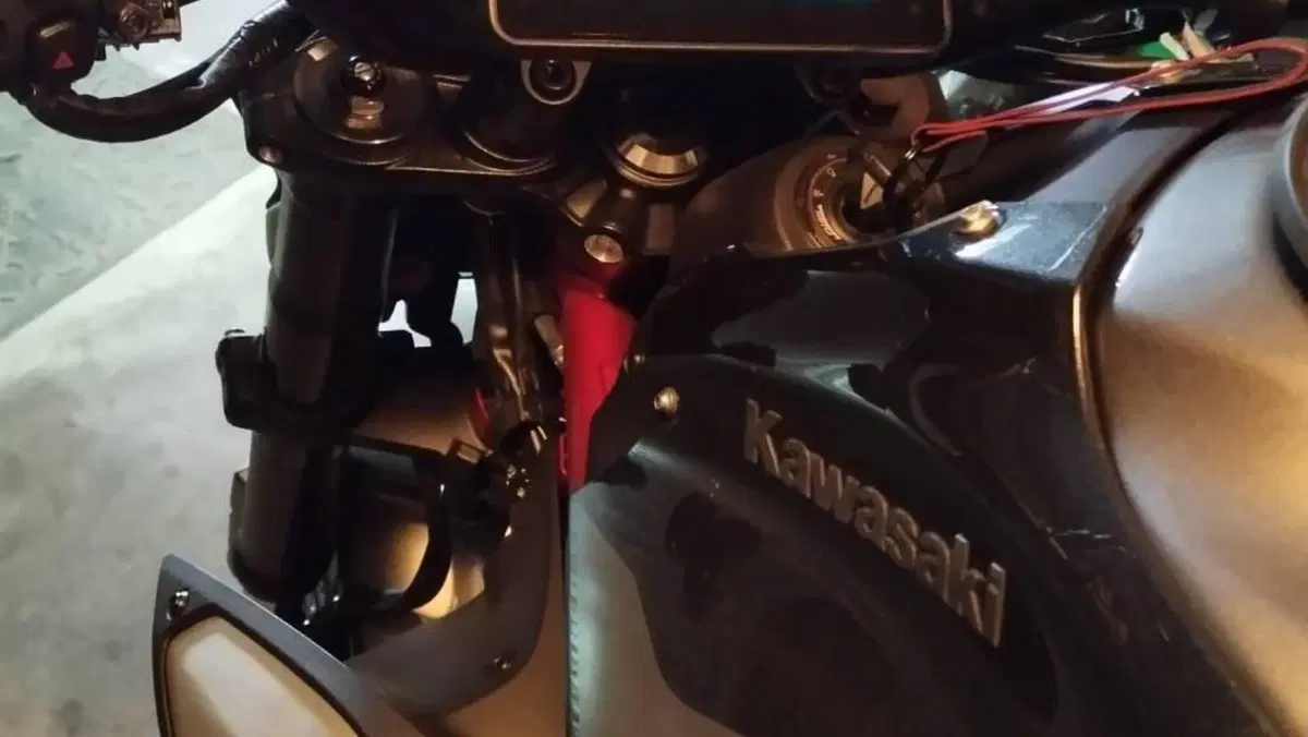 Kawasaki Z 900 (2025 - 27)  (11)
