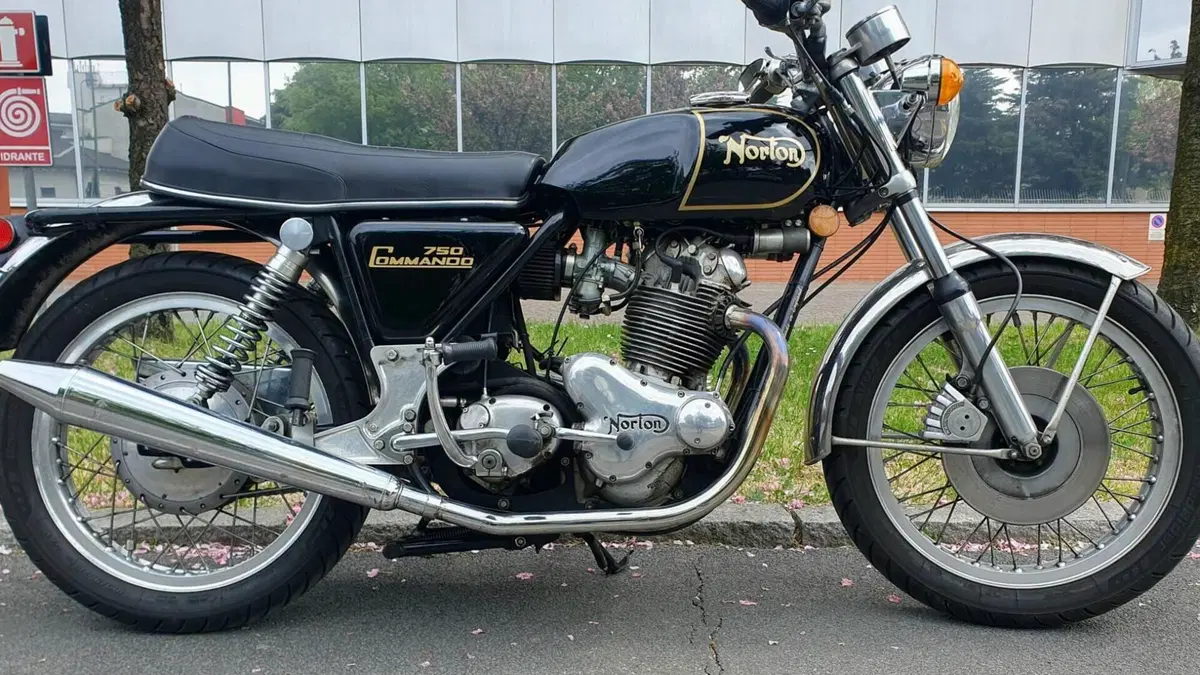 Norton   (2)