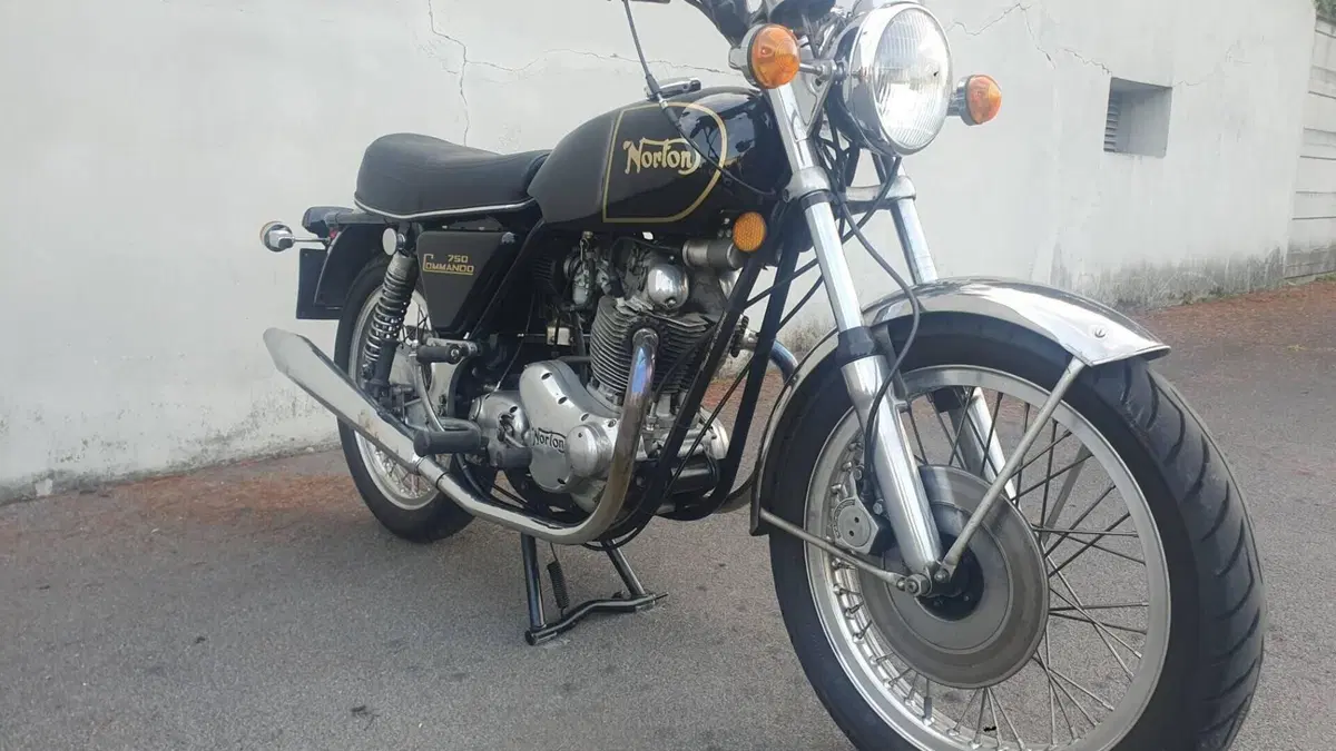 Norton   (4)
