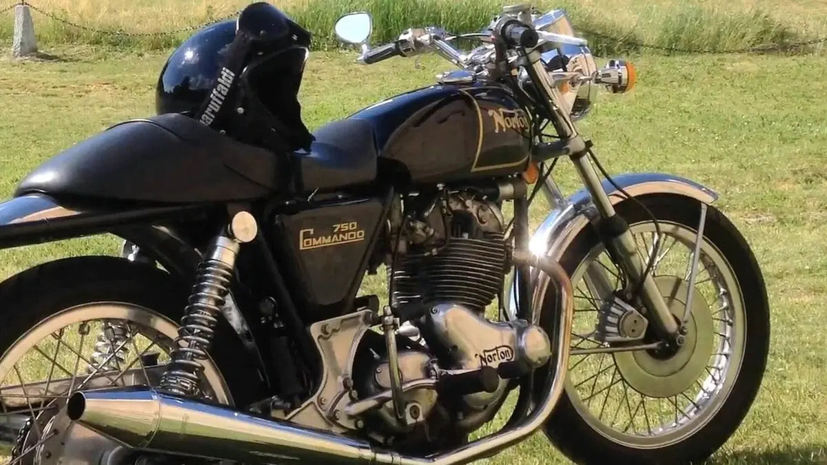 Norton   (7)