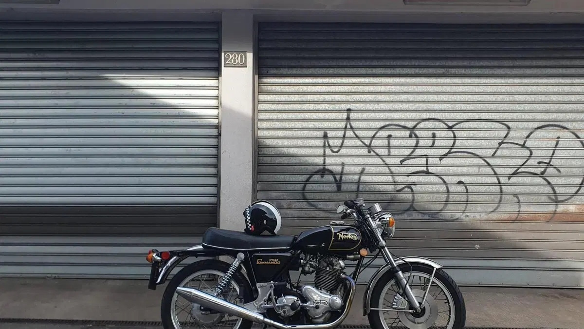 Norton   (8)