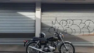 Norton   (8)