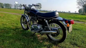 Norton   (9)