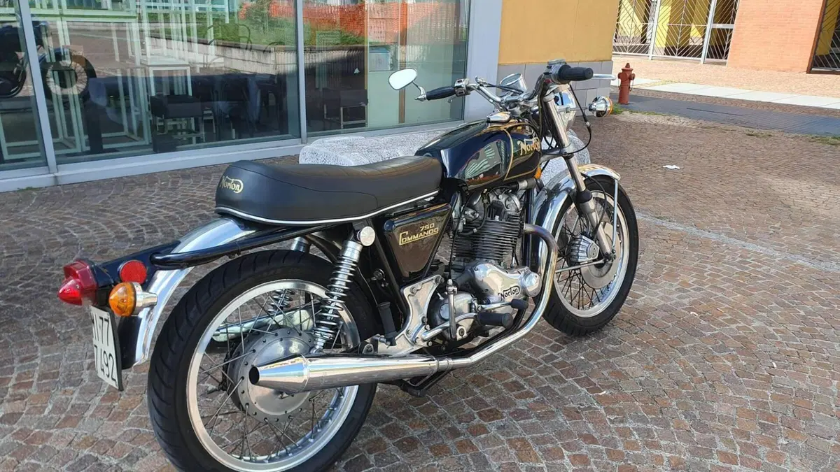 Norton   (10)