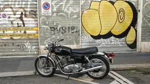 Norton   (11)