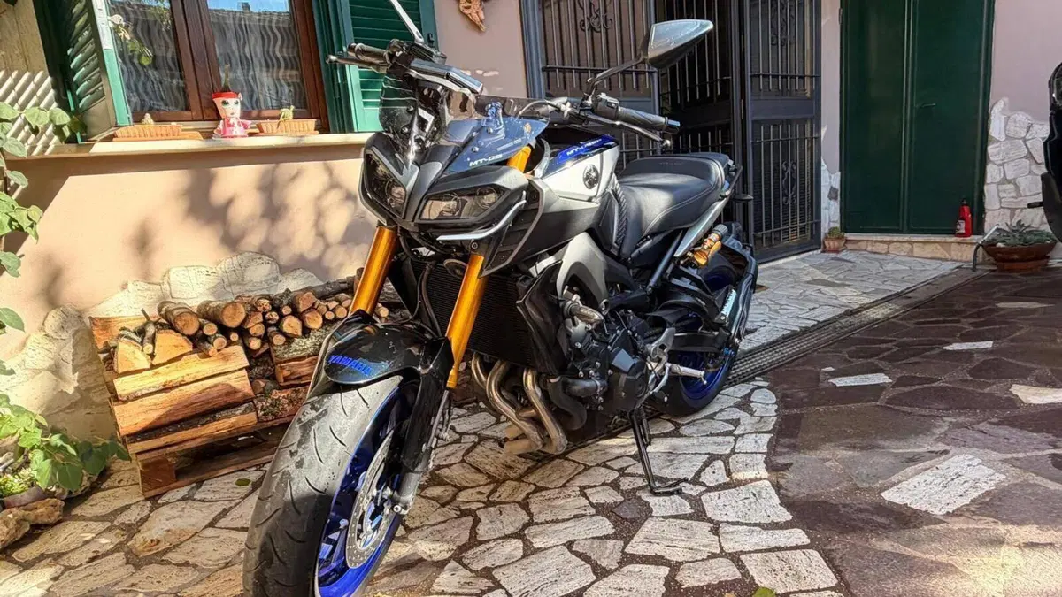 Yamaha MT-09 SP (2018 - 20)  (2)