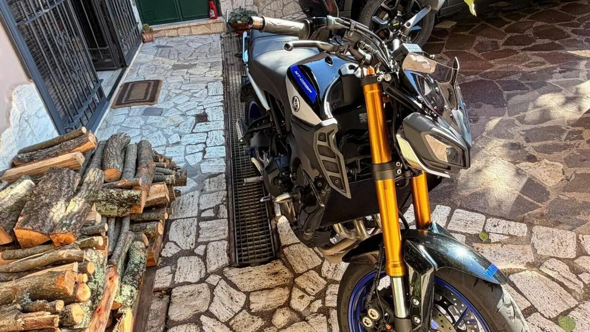 Yamaha MT-09 SP (2018 - 20)  (5)
