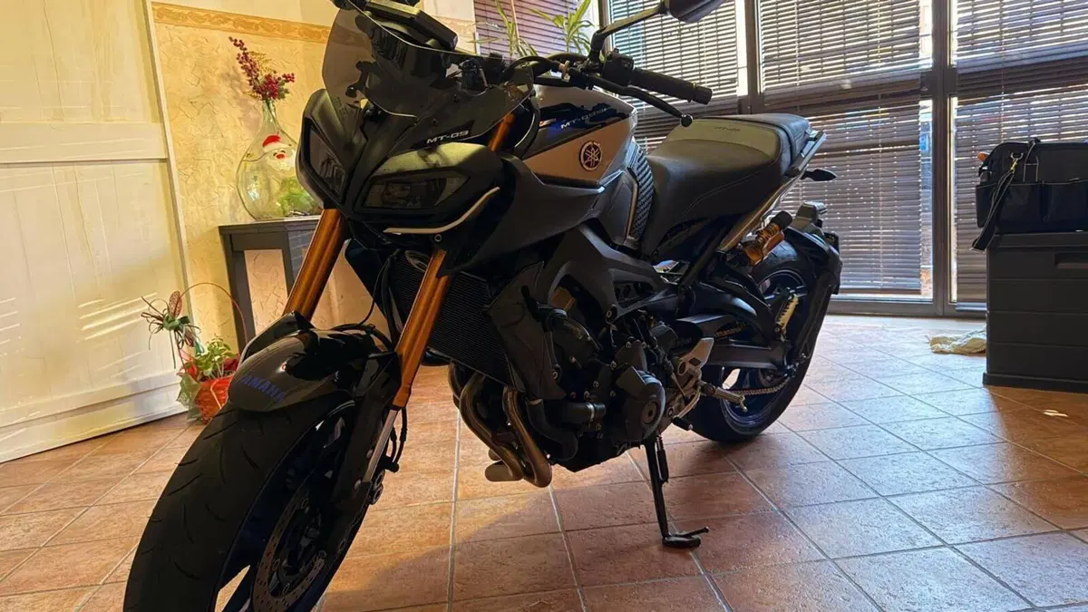 Yamaha MT-09 SP (2018 - 20)  (7)