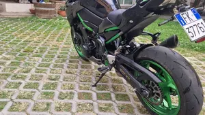 Kawasaki Z 900 (2021 - 24)  (6)