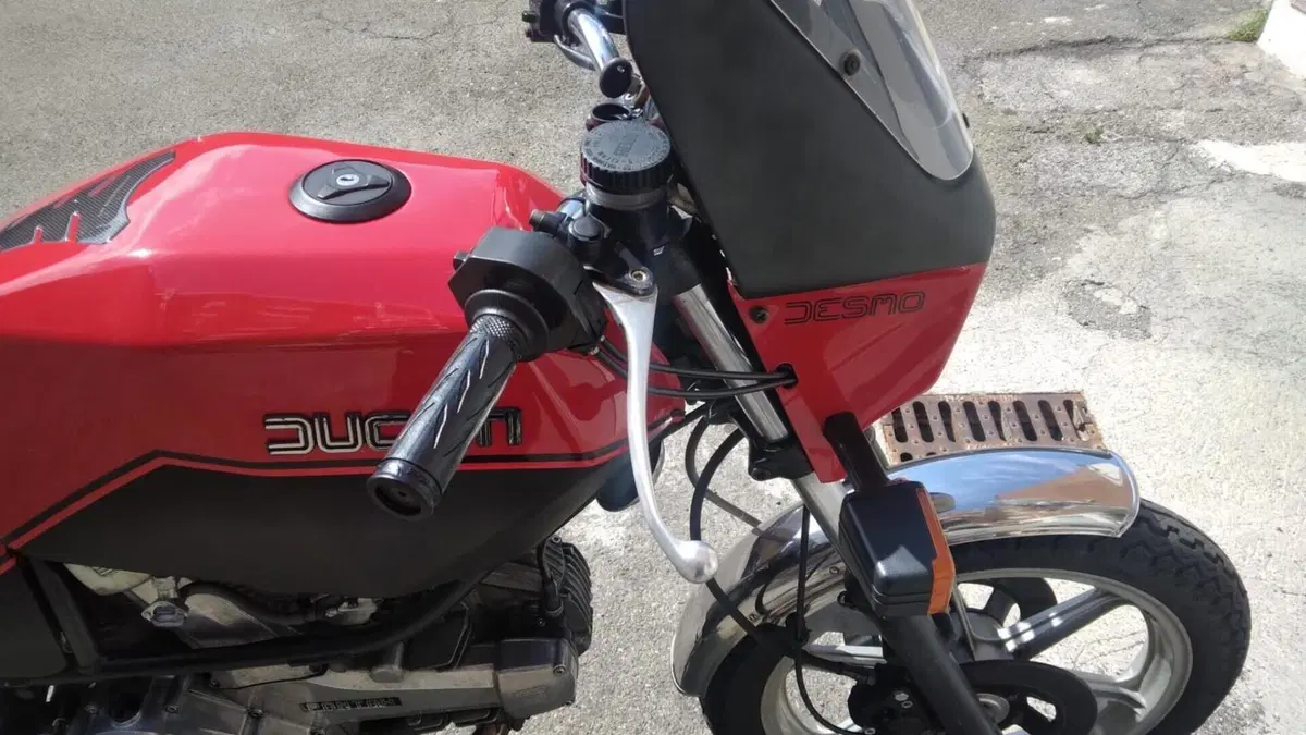 Ducati   (4)