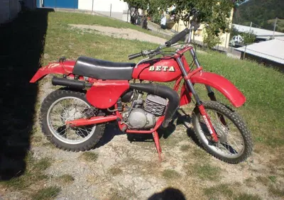 Betamotor regolarita 250 - Annuncio 6039877