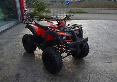  Altre moto o tipologie Quad - Annuncio 6526961