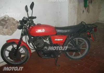 Morini 250 - Annuncio 6117366