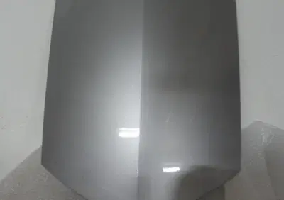 Scudo ant Honda Pantheon- FES 250 VV - Annuncio 6641041