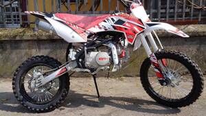 Altre moto o tipologie Pitbike 
